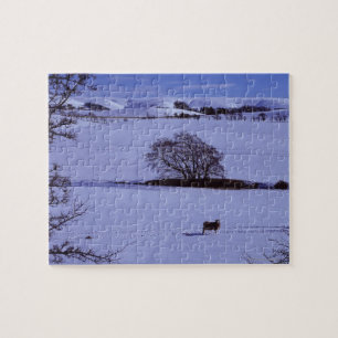 Puzzle La neige a couvert des champs contenant des