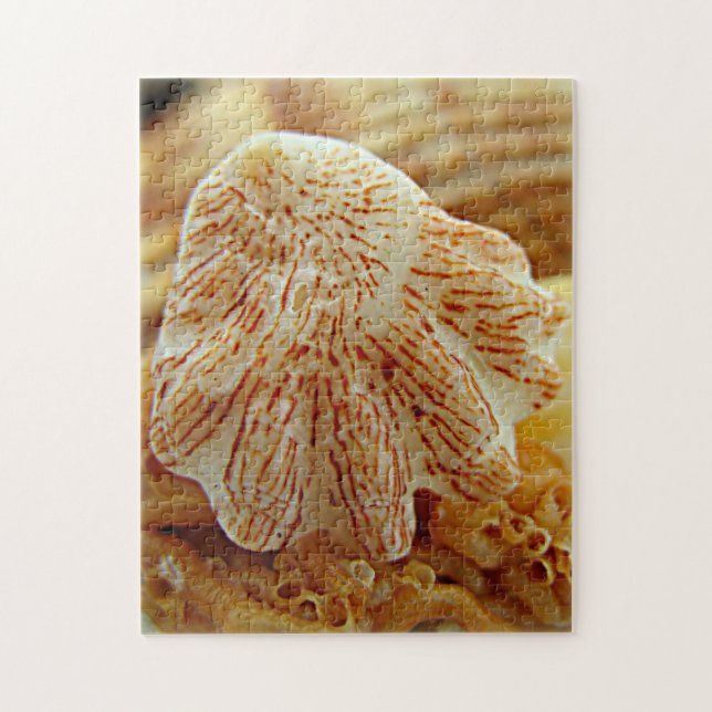 Puzzle La patte Shell du chaton déconcertent (Vertical)