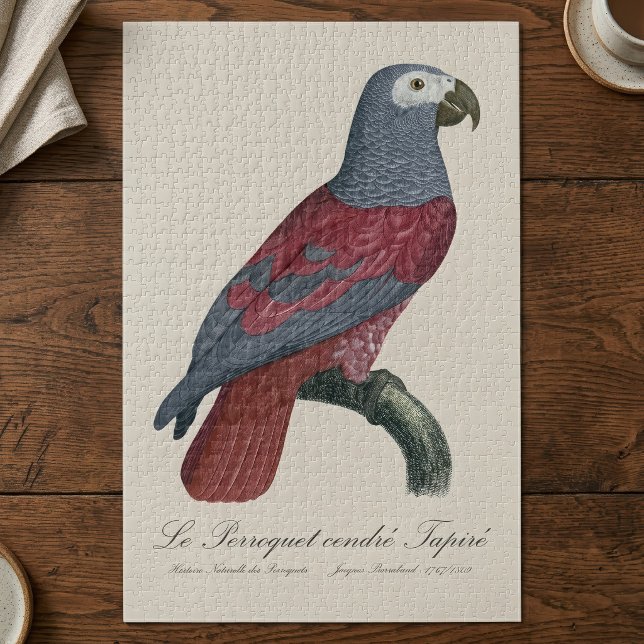 Puzzle La Perruche cendrée Tapire (African Grey Parrot Red Factor Psittacus Erithacus. Jigsaw Puzzle)