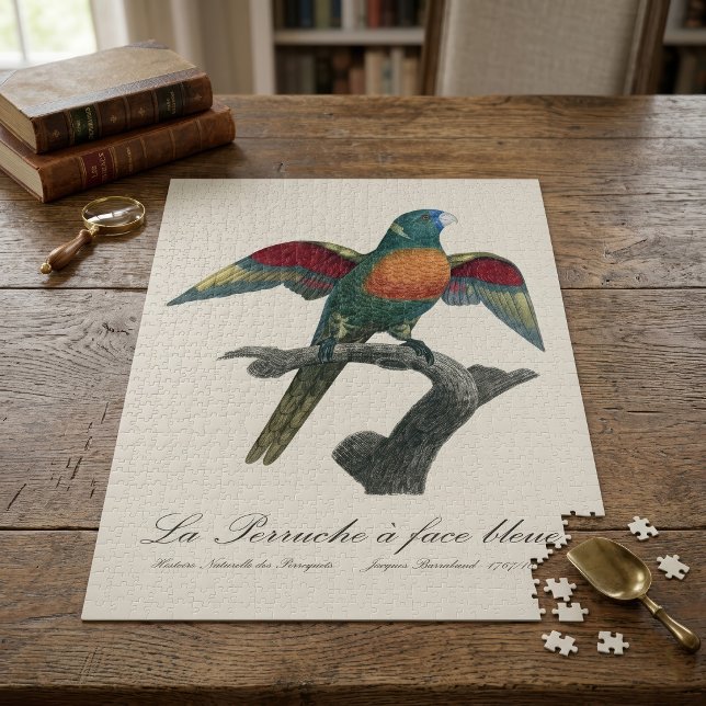 Puzzle La Perruche une face bleue (Coconut Lorikeet, Trichoglossus haematodus. Jigsaw Puzzle)