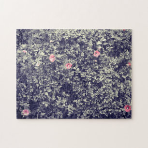 Puzzle La photographie Vintage des fleurs d'Hibiscus rose