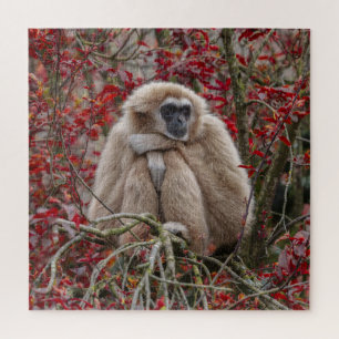 Puzzle La solitude de Gibbon