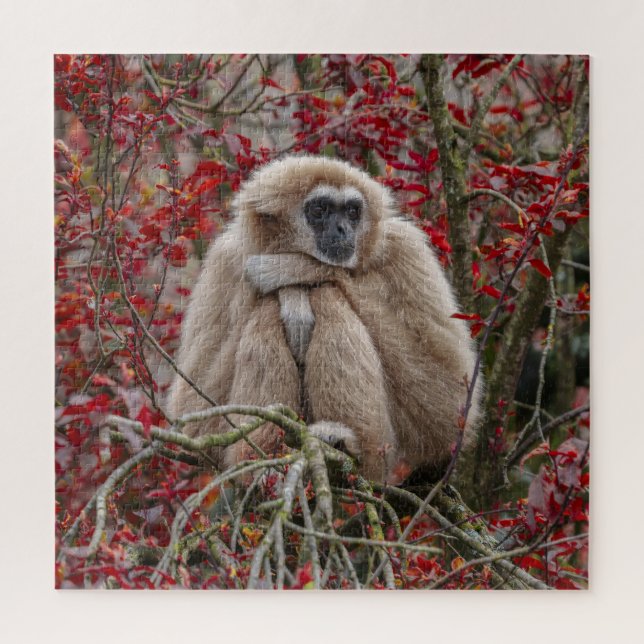 Puzzle La solitude de Gibbon (Vertical)