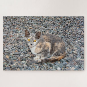 Puzzle La taie d'oreiller de chat
