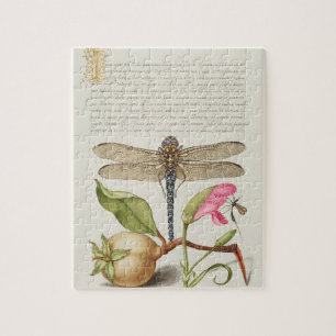 Puzzle La vie du jardin, Libellule, Poire, Œillet et Inse