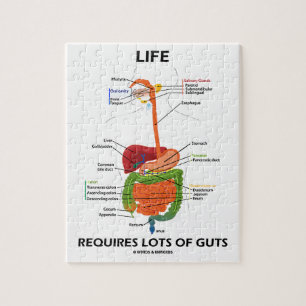 Puzzle La Vie Nécessite Beaucoup D'Ingrédients (Système D