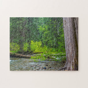 Puzzle La zone panoramique de Ross Creek Cedars