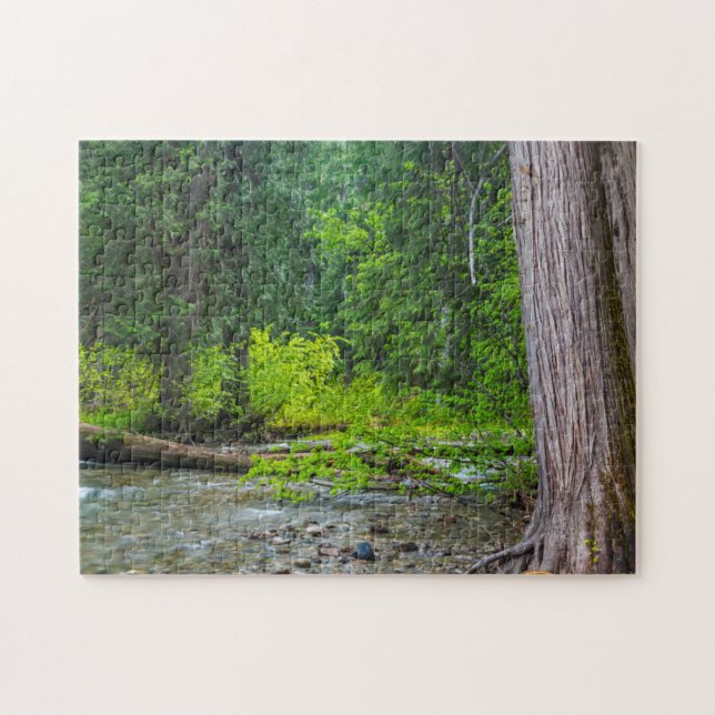 Puzzle La zone panoramique de Ross Creek Cedars (Horizontal)