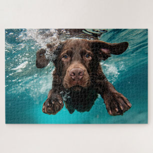 Puzzle Labrador chocolat joueur nageant sous l'eau