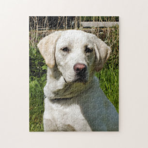 PUZZLE LABRADOR DOG