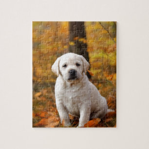 Puzzle Labrador retriever