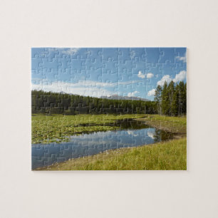 Puzzle Lac des Cygnes I dans le parc national de Grand Te