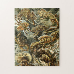Puzzle Lacertilia, lézards par Ernst Haeckel Jigsaw Puzzl