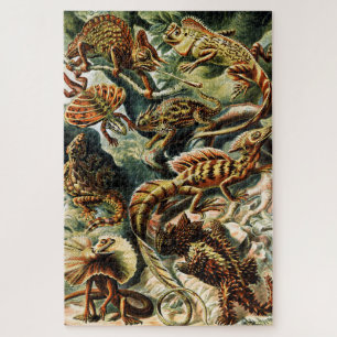 Puzzle Lacertilia Lizards par Ernst Haeckel