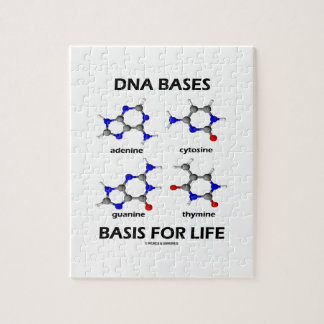 Puzzle L'ADN base la base pendant la vie (la structure