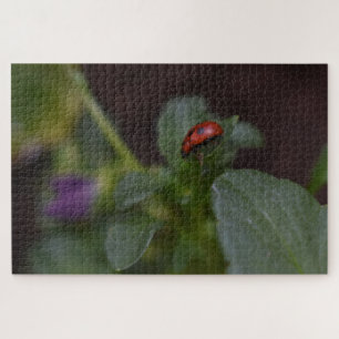 Puzzle Ladybug