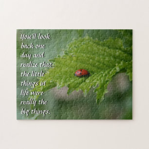Puzzle Ladybug