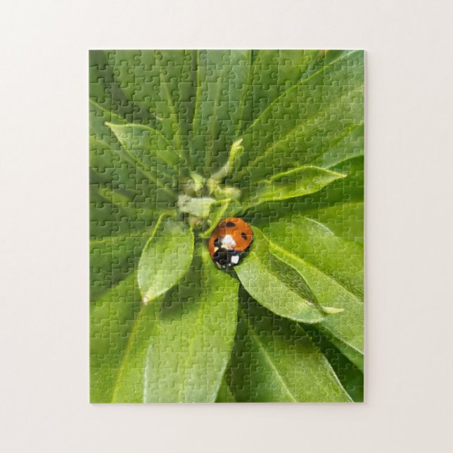 Puzzle Ladybug (Vertical)