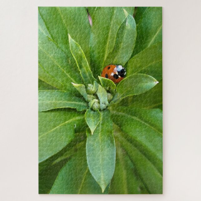 Puzzle Ladybug (Vertical)