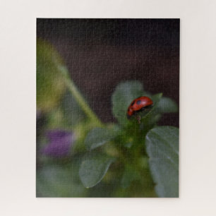 Puzzle Ladybug