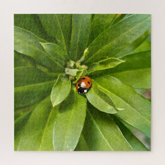 Puzzle Ladybug (Vertical)