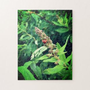 Puzzle Ladybug au printemps