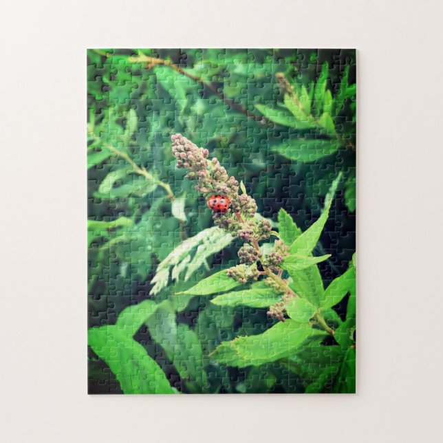 Puzzle Ladybug au printemps (Vertical)