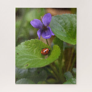 Puzzle Ladybug sur les fleurs de violet doux