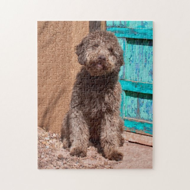 Puzzle Lagotto Romagnolo Attend Par Une Porte Bleue (Vertical)