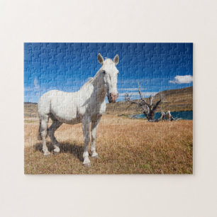 Puzzle Laguna Azul, paysage avec chevaux