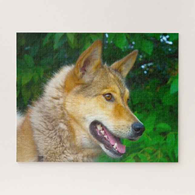 Puzzle Laika Dog Jigsaws. (Horizontal)