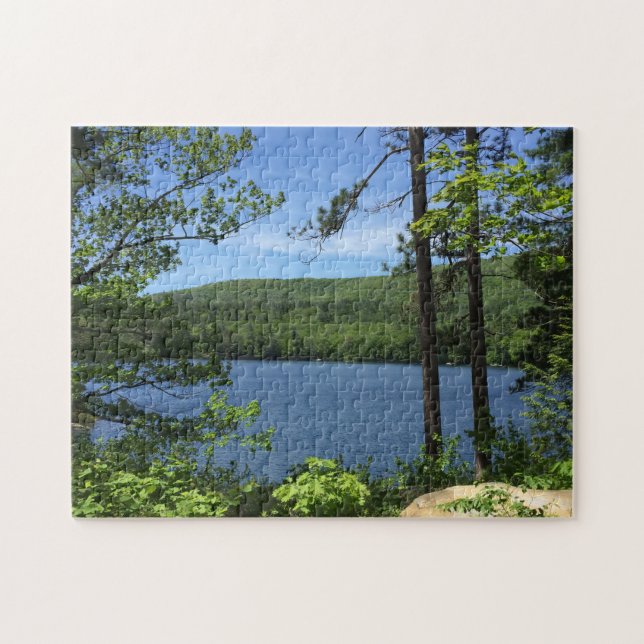 Puzzle Lake Trees Squam New Hampshire Photo (Horizontal)
