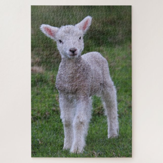 Puzzle Lamb Bébé Mouton ferme animal (Vertical)