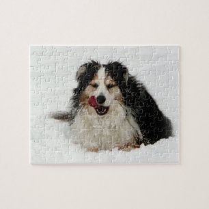 Puzzle Langue de chien australienne
