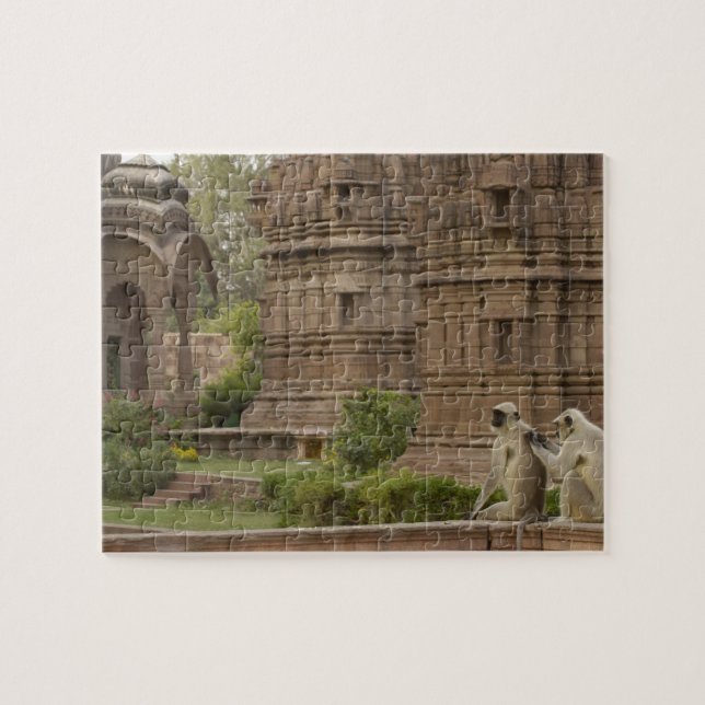 Puzzle Langurs d'Hanuman ou langur gris, commun ou à face (Horizontal)