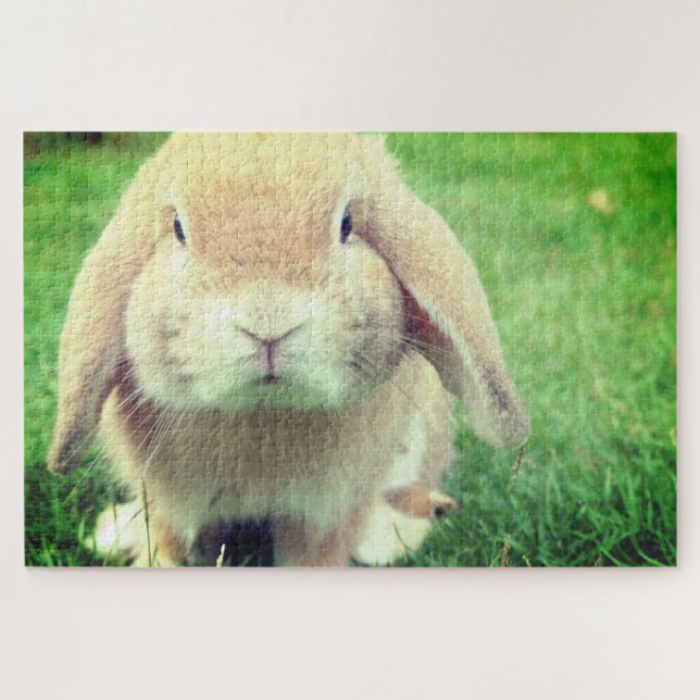 Puzzle Lapin (Horizontal)