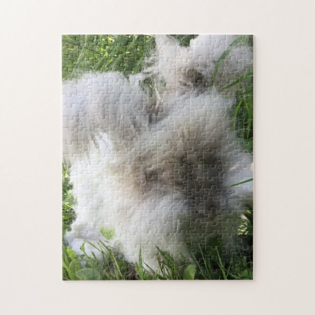 Puzzle Lapin angora anglais "Bradley " (Vertical)