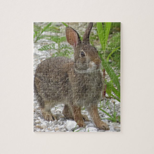 Puzzle Lapin de lapin (Vertical)