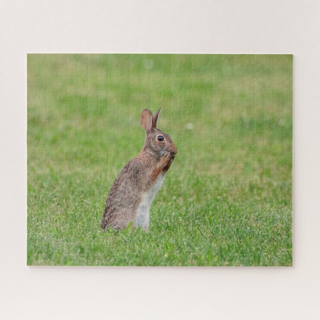 Puzzle Lapin debout dans l'herbe et l'air timide (Horizontal)