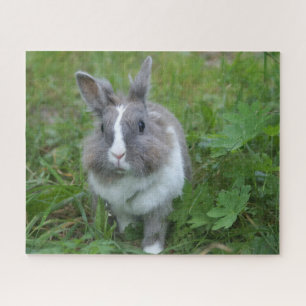 Puzzle Lapin lapin