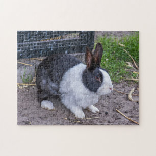 Puzzle lapin lapin lapin