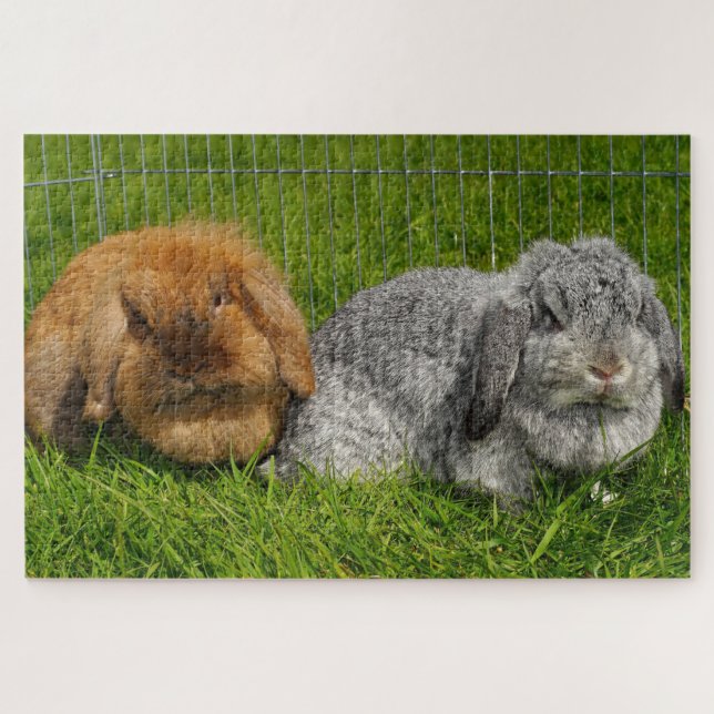 Puzzle Lapin Lapin Lapin Mini Lop de Lionhead Holland (Horizontal)