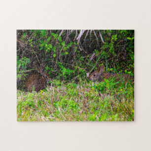 Puzzle Lapin Lapin Lièvre Zones Humides Mignonne Nature B