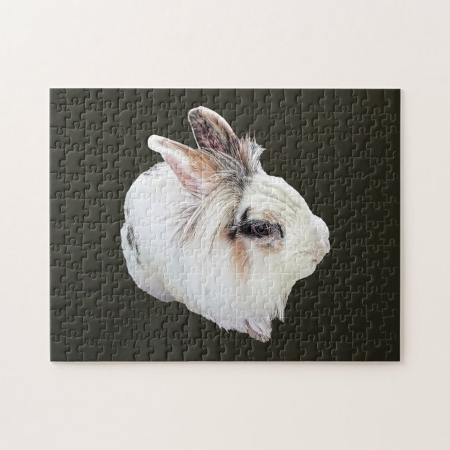 Puzzle Lapin Lionhead tricolore (Horizontal)