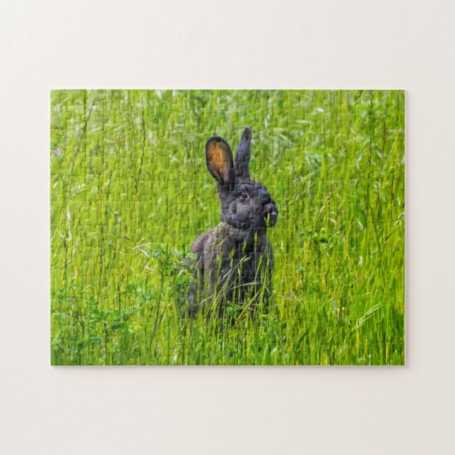 Puzzle lapin noir (Horizontal)
