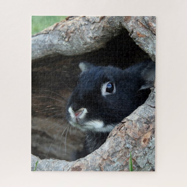 Puzzle Lapin noir dans le creux d'un arbre Photo (Vertical)