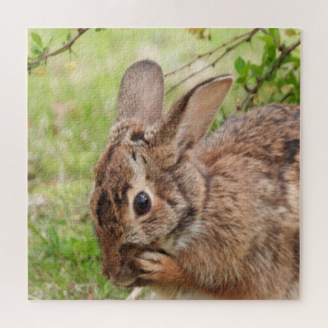 Puzzle Lapin sauvage Brown Fluffy OH MON (Horizontal)