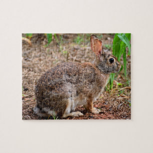 Puzzle Lapin sauvage mignon