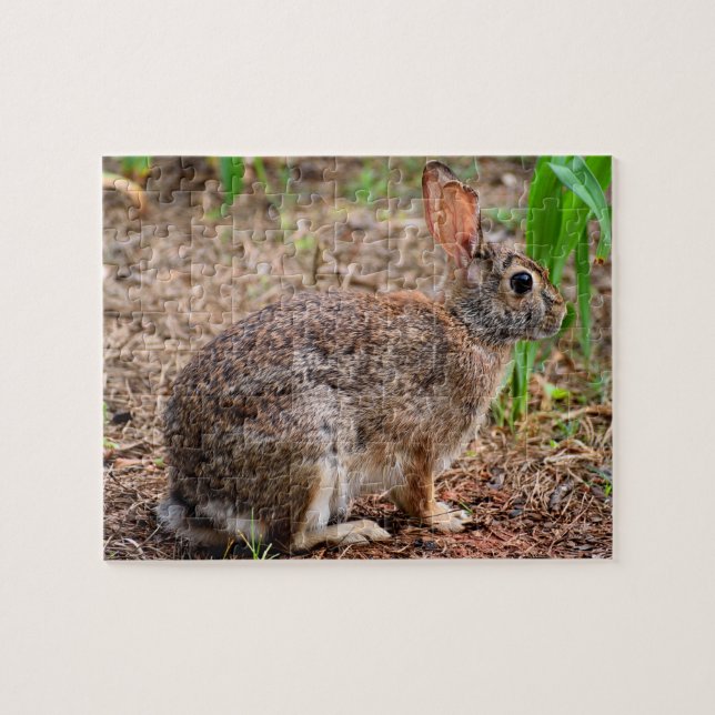 Puzzle Lapin sauvage mignon (Horizontal)