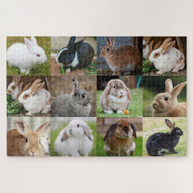 Puzzle Lapins (Horizontal)
